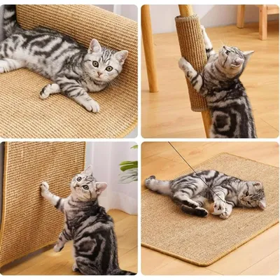 Qinhul Tapis à gratter en sisal pour chat