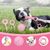 Qinhul Jouets à mâcher pour chiots