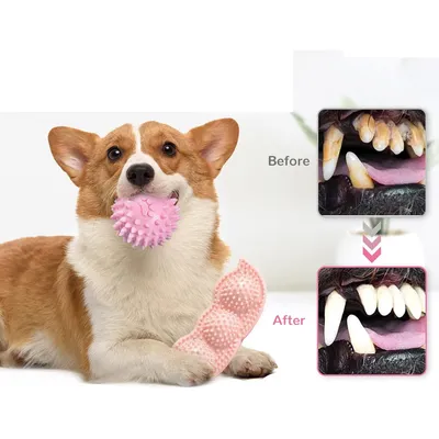 Qinhul Jouets à mâcher pour chiots