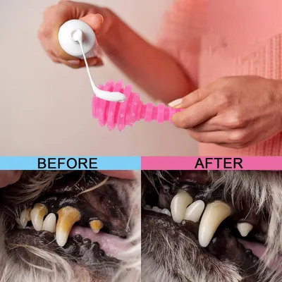 Qinhul Jouets à mâcher pour chiens