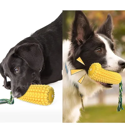 Qinhul Bâton de dents de chiot