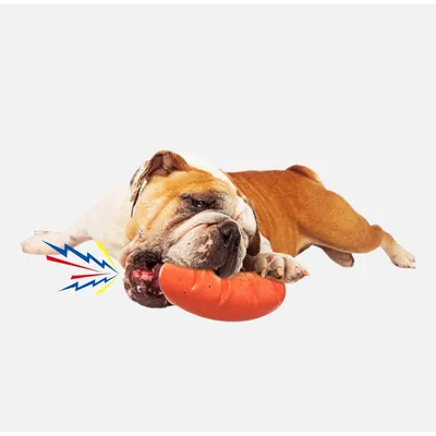 Jouets à mâcher pour chiens