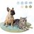 Qinhul Tapis rafraîchissant en forme de feuille pour chats et chiens