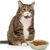 Qinhul Gamelle multifonctionnelle en plastique pour chat