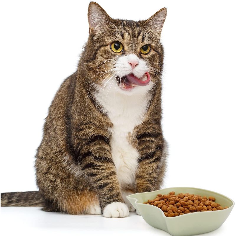Qinhul Gamelle multifonctionnelle en plastique pour chat