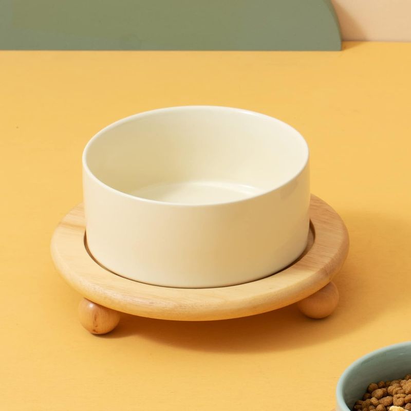 Qinhul Gamelle surélevée en céramique pour chat