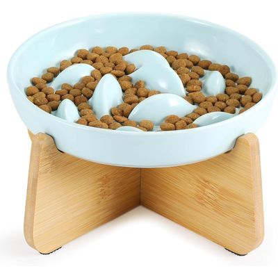 Qinhul Bol de nourriture de chat à lamberie en céramique