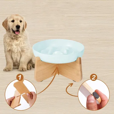 Qinhul Bol de nourriture de chat à lamberie en céramique