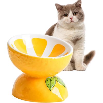 Qinhul Gamelle inclinée en céramique pour chat