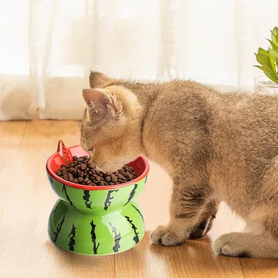 Qinhul Gamelle inclinée en céramique pour chat