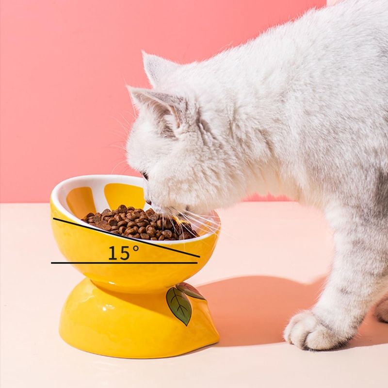 Qinhul Gamelle inclinée en céramique pour chat