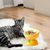 Qinhul Gamelle inclinée en céramique pour chat