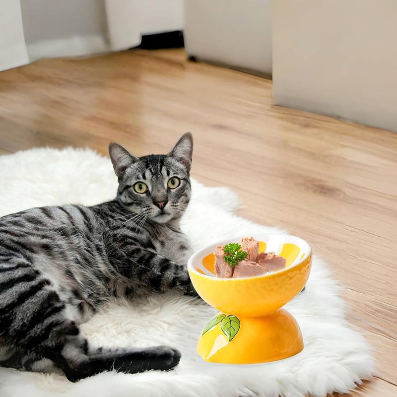 Qinhul Gamelle inclinée en céramique pour chat