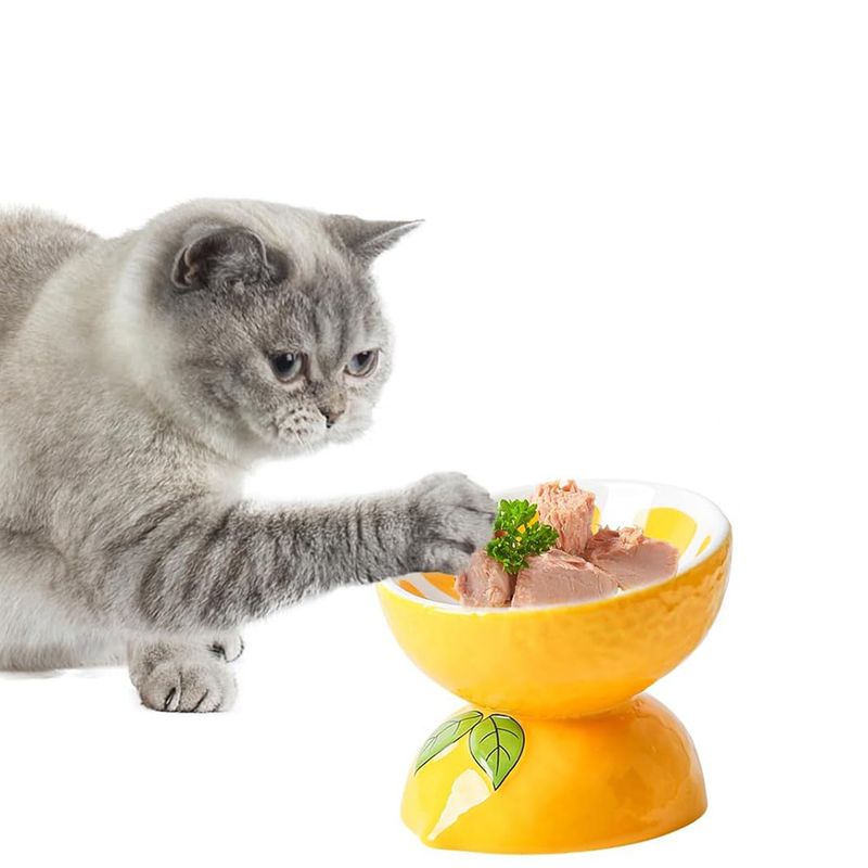 Qinhul Gamelle inclinée en céramique pour chat