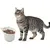 Qinhul Silicone High Seat Angle Angle Cat Bowl