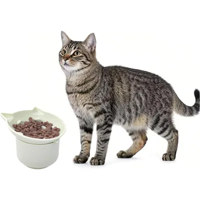 Qinhul Silicone High Seat Angle Angle Cat Bowl