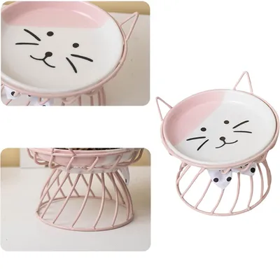 Qinhul Gamelle surélevée en céramique pour chat