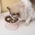 Qinhul Gamelle surélevée en céramique pour chat