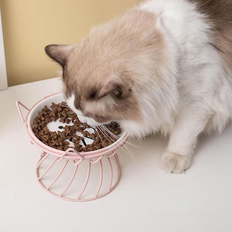 Qinhul Gamelle surélevée en céramique pour chat