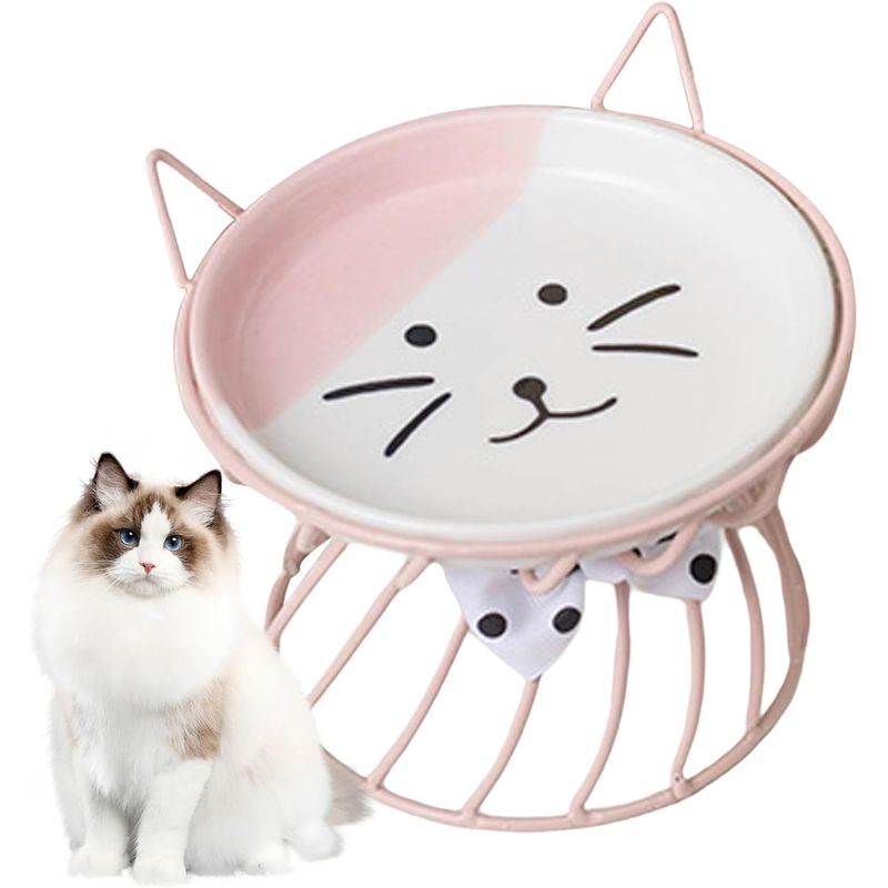 Qinhul Gamelle surélevée en céramique pour chat