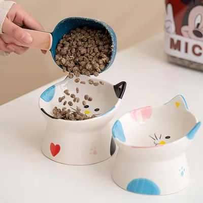 Qinhul Gamelle pour chat en céramique