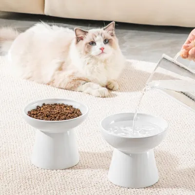 Qinhul Bol de nourriture et bol d'eau pour chat