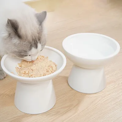 Qinhul Bol de nourriture et bol d'eau pour chat