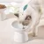 Qinhul Bol de nourriture et bol d'eau pour chat
