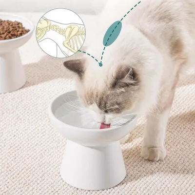 Qinhul Bol de nourriture et bol d'eau pour chat
