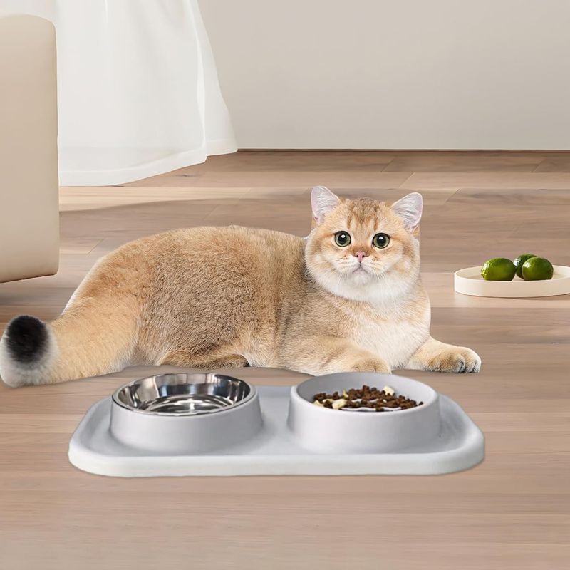Qinhul Gamelle double Slow Food pour chat et chien