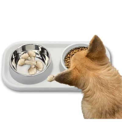 Qinhul Gamelle double Slow Food pour chat et chien