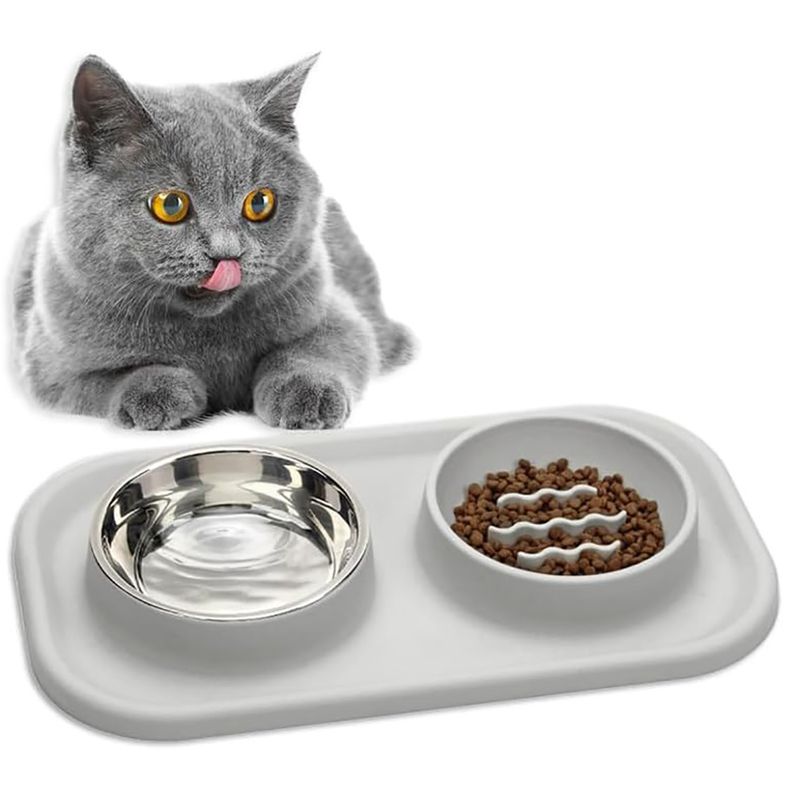 Qinhul Gamelle double Slow Food pour chat et chien