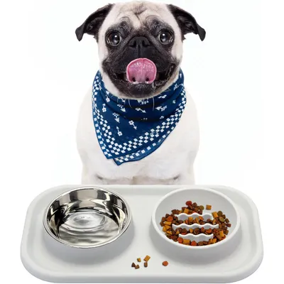 Qinhul Gamelle double Slow Food pour chat et chien