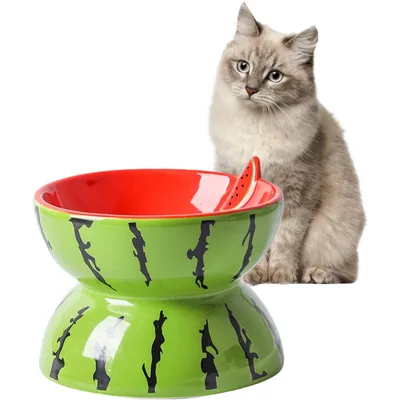 Qinhul Gamelle inclinée en céramique pour chat