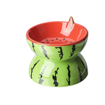 Qinhul Gamelle inclinée en céramique pour chat