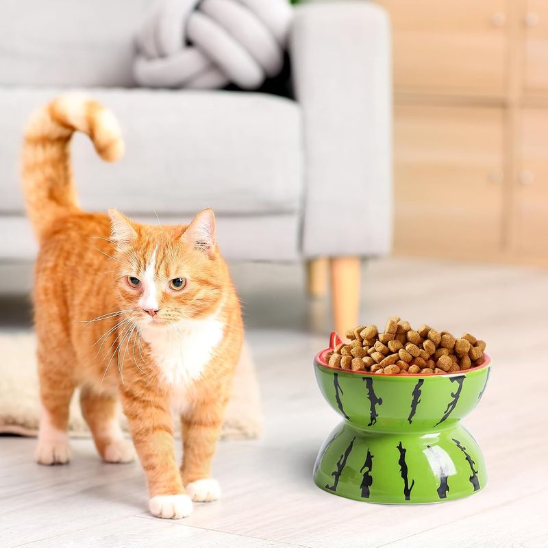 Qinhul Gamelle inclinée en céramique pour chat