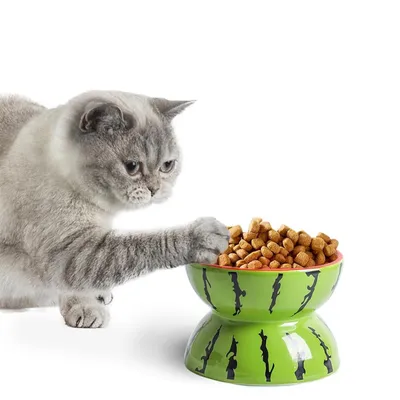 Qinhul Gamelle inclinée en céramique pour chat