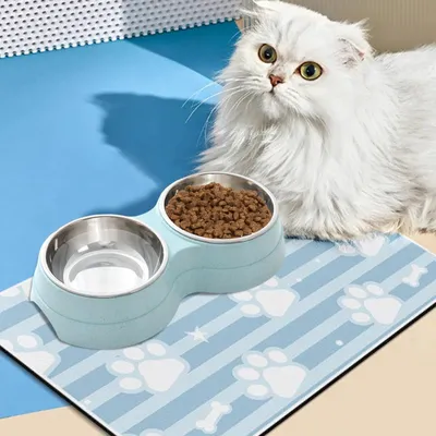 Qinhul Gamelle double pour chat en acier inoxydable