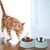Qinhul Gamelle double pour chat en acier inoxydable
