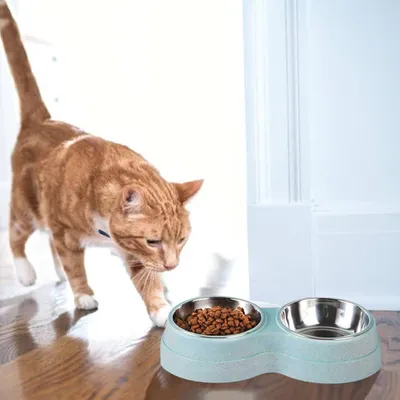 Qinhul Gamelle double pour chat en acier inoxydable