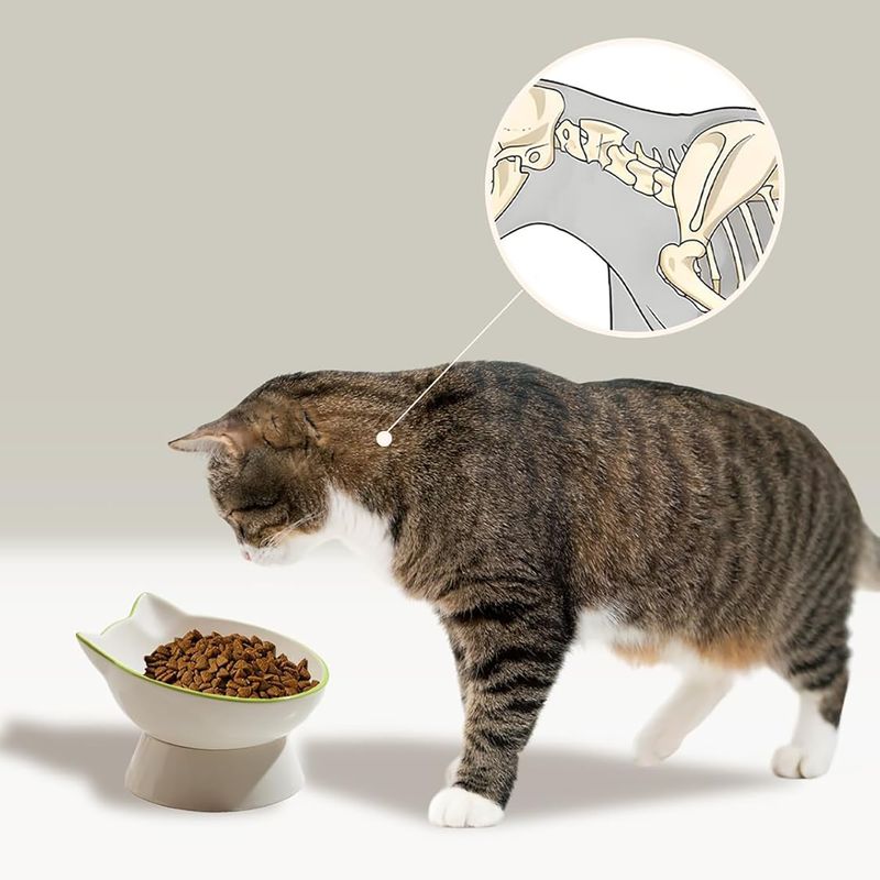 Qinhul Gamelle surélevée en céramique pour chat