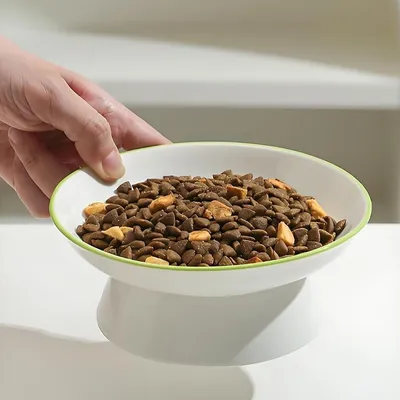 Qinhul Gamelle surélevée en céramique pour chat