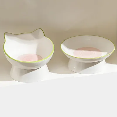 Qinhul Gamelle surélevée en céramique pour chat