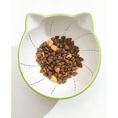 Qinhul Gamelle surélevée en céramique pour chat