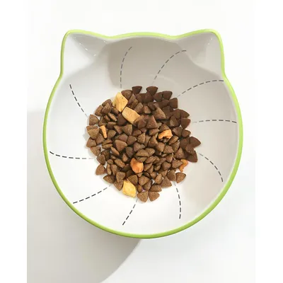 Qinhul Gamelle surélevée en céramique pour chat