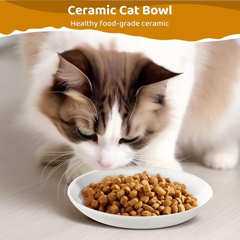 Qinhul Gamelle pour chat avec fond en silicone antidérapant