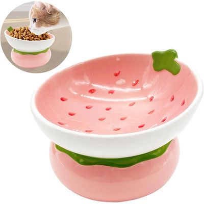 Qinhul Gamelle inclinée en céramique pour chat