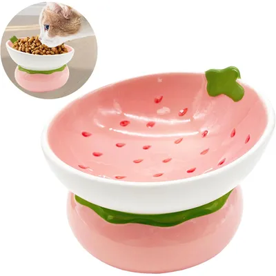 Qinhul Gamelle inclinée en céramique pour chat