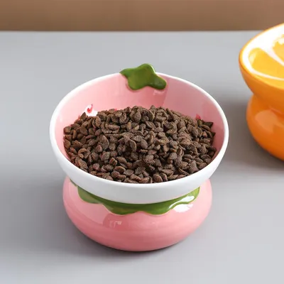 Qinhul Gamelle inclinée en céramique pour chat