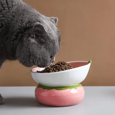 Qinhul Gamelle inclinée en céramique pour chat